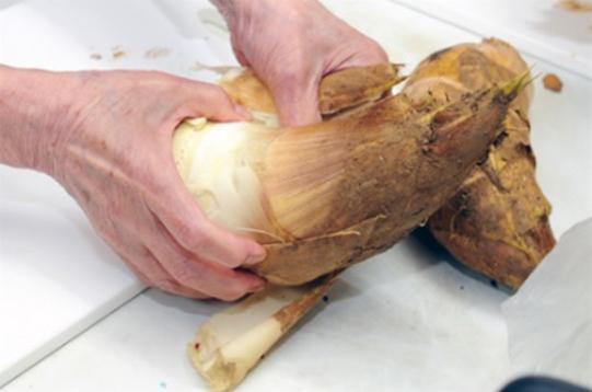 たけのこのゆで方